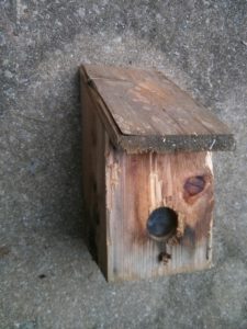 Secret birdhouse camera